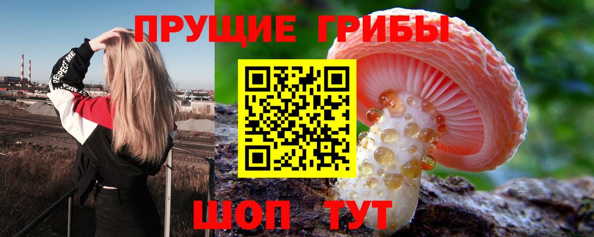 Калуга  Галлюциногенные грибы прущие грибы  Вход с VPN  Псилоцибиновые грибы Psilocybe 